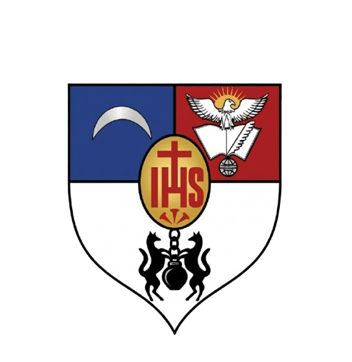 System logo